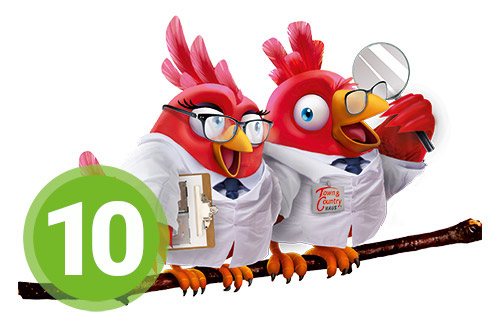 Nestexperten Schritt 10 Nestexperten Schritt 10