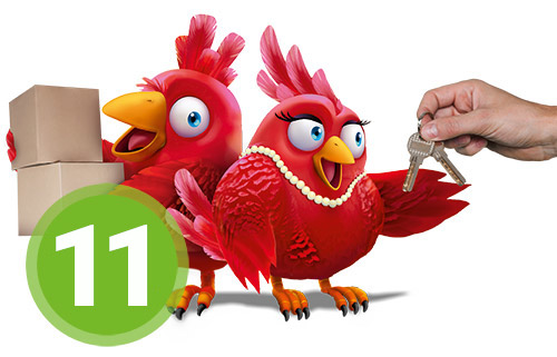 Nestexperten Schritt 11 Nestexperten Schritt 11